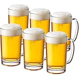 Amazing Abby - Roxy - 20-Ounce Plastic Beer Glasses (Set of 6), Beer Mugs, Reusable Cups, BPA-Free, Shatter-Proof, Dishwasher-Safe, Perfect for Poolside, Outdoors, Camping, and More