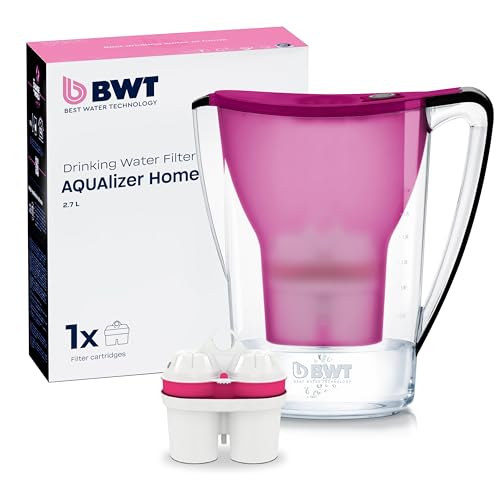 BWT Wasserfilter AQUAlizer Home | Aubergine | inkl 1 Magnesium Filterkartusche | Wasserfilter Trinkwasser | Für Speisen & Getränke | Filtert Kalk, Chlor, Blei & Kupfer