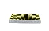 FILTER FP25015 Cabin Air Filter Compatible With Tesla MOTORS Model 3 06.2018- Model Y