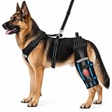 ALYBIT Dog Hip Support Brace, Adjustable Dog Leg Brace for Back Leg Support with Lift Strap, Dog Hip Dysplasia Brace, Dog Knee Brace for Torn ACL Hind Leg, Pain Relief (L)