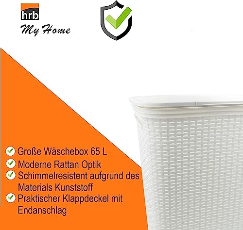 HRB Wäschekorb mit Deckel Rattan 65 Liter, Wäscheaufbewahrung aus Kunststoff, Wäsche Sortierer (Weiß)