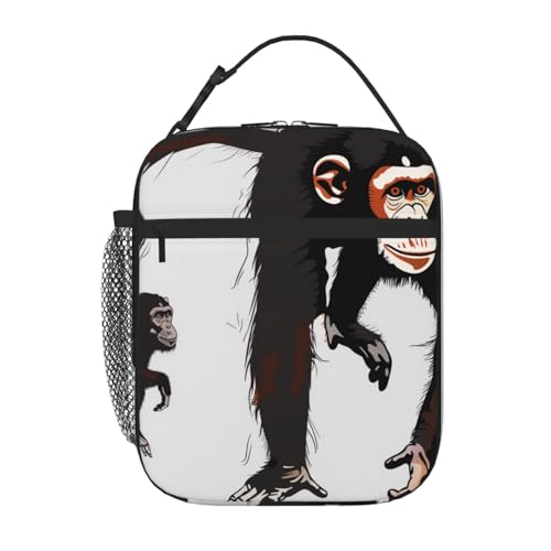 BNVSADC ubNeiKUvg fM`obO g[gobO fB[X Y |[^u ėp\ `N[[obO nht ItBX wZ sNjbN r[`p