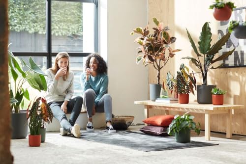 elho B.for Soft Round 30 - Indoor Plant Pot - 100% Recycled Plastic - Ø 29.5 x H 27.6 cm - Black/Anthracite - Image 4