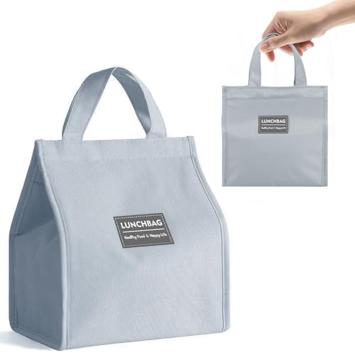 YibaiYi Bolsas de almuerzo para mujeres y hombres, reutilizables aisladas, a prueba de fugas, bolsa de almuerzo para adultos, para oficina, trabajo, escuela, playa, viajes, picnic (gris)