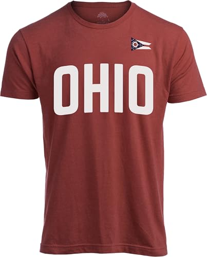 Ohio State Pride Flag OH Souvenir Gift T-Shirt for Men or Women - (MenAlt,XL)