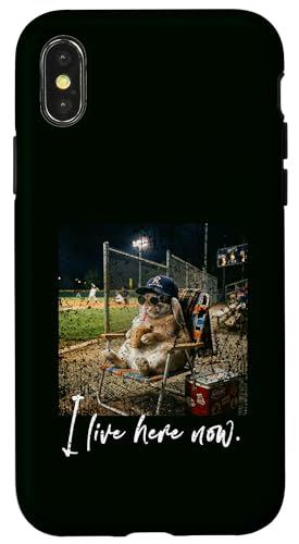 Distressed I Live Here Now RABBIT �싅 ���킢�� ���� �X�}�z�P�[�X iPhone X/XS �p
