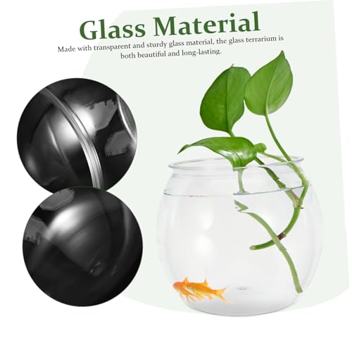 Aquarium transparent à bulles avec support pour plante aérienne - 8