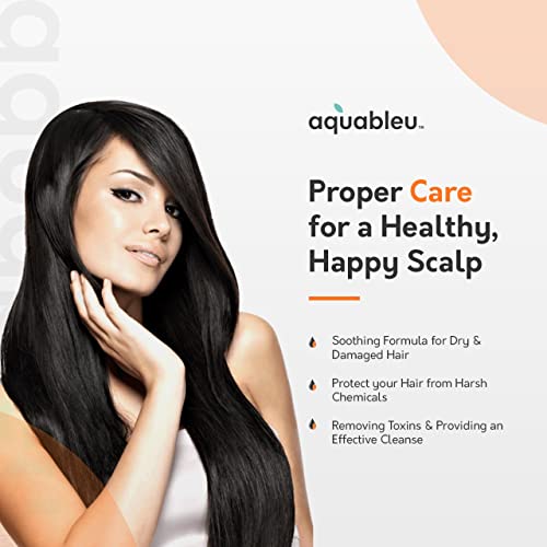 Aquableu Sweet Orange Vanilla Shampoo & Conditioner Set – Natural Moisturizing, For Dry & Damaged Hair – Sulfate & Paraben Free – For Colour Treated Hair – 16Oz #TOP2