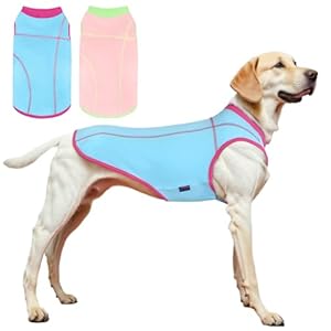2 Pack Dog Summer Clothes Color Blocking Dogs’ Shirts for Medium/Large Dogs Stretchable Cooling Vest Breathable Sun Protection Shirt Pet Tank Top Fashion & Bright Color for Boys and Girls