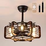 Caged Modern Industrial Ceiling Fan with Lights and Remote, 18" Black Rustic Fan for Living Room, Kitchen, Bedroom
