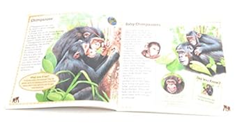 Paperback Apes & Monkeys (Nature) Book