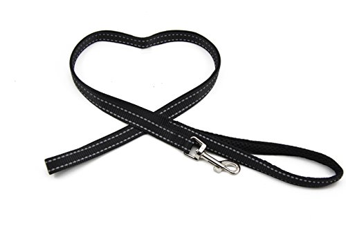 BIG SMILE PAW Reflective Dog Leash for Small Dogs,Padded Handle (Black