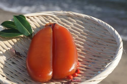 本からすみ [ 高級珍味 ] 宮進商店謹製 カラスミ 60g 100g 200g (100g(ネコポス))