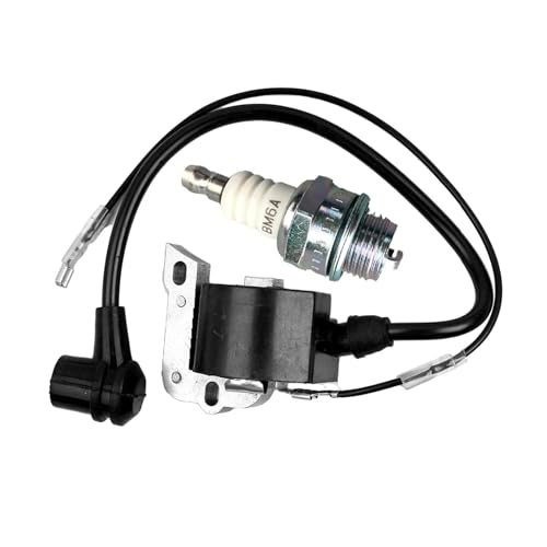 Bobine d'allumage haute performance 503901704 pour modèles 2051 2055 - 3
