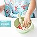 Bumkins Baby Bowl, Silicone Feeding Set with Suction for Baby and Toddler, Includes Spoon and Lid, First Feeding Set, Training Essentials for Baby Led Weaning for Babies 4 Months Up, Sage
