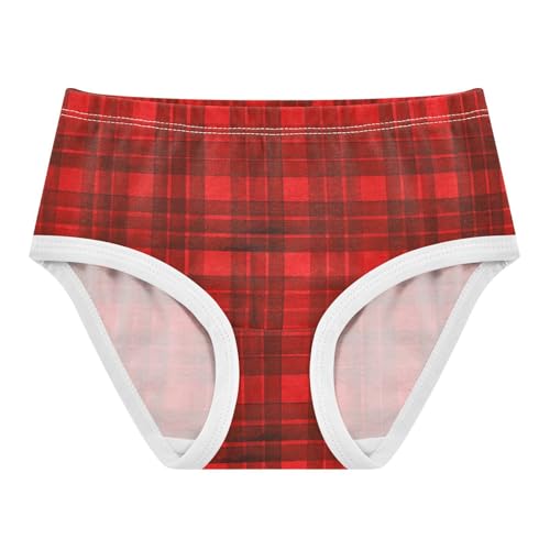 Organic Cotton Panties Underwear Moisture Wicking Breathable Underwear for Girls in Sizes 2T,3T, 4T, 5T, 6Y and 8Y