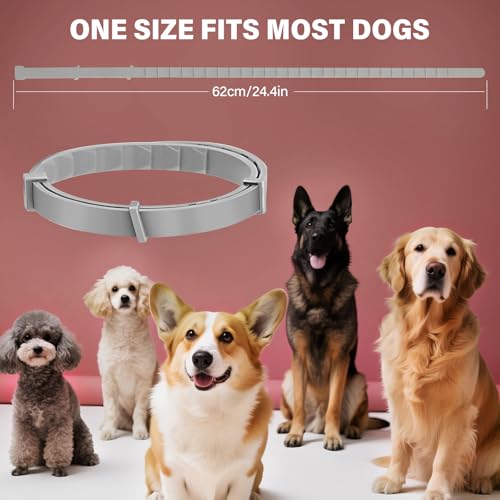 Zeckenhalsband für Hunde – Natürliches Ätherisches Öl, Wasserdicht & Verstellbar für Welpen und Hunde ab 8 Wochen, 16 Monate Schutz – Sicher mit Pflanzlichen Inhaltsstoffen(2Pcs)