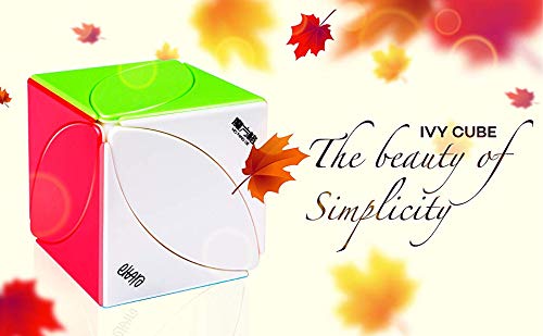 Image of D ETERNAL QY Ivy Cube Stickerless Mofangge Skewb Cube Leaf Cube Puzzle Toy