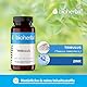 Tribulus Terrestris Kapseln – 100 Stück 750 mg Tagesdosis mit 150 mg Saponinen enthält Zink für eine normale Fruchtbarkeit von BIOHERBA PZN 17189970