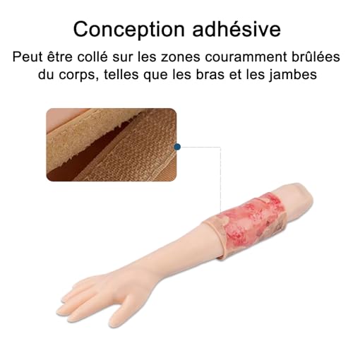 Modèles de peau humaine pour la formation médicale et simulation de brûlures - 3