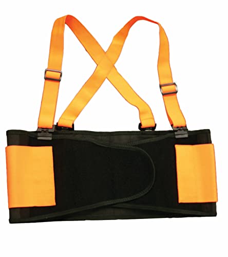 (2XL, Orange) - Cordova Safety Products SB2002XL High Visibility Orange Back Support Belt with Glide Adjustable Clips, XX-Large,