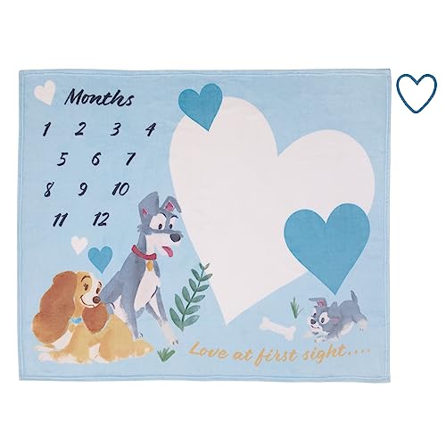 Image of NoJo Disney Lady & The Tramp Blue, White, and Gold Love at First Sight Super Soft Photo Op Milestone Baby Blanket