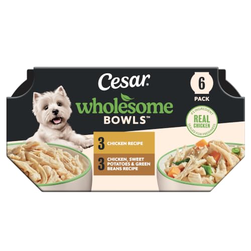 Cesar Wholesome Bowls Wet Dog Food, Chicken Variety Pack, 3 oz, 6 Count - image 1