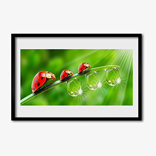 Affiche encadrée murale 60x40 cm salon cuisine - Cadre en MDF avec image photo coccinelle Tulup