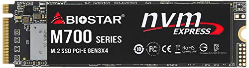 BIOSTAR M.2 NVMe Gen3×4 対応SSD 1 TB
