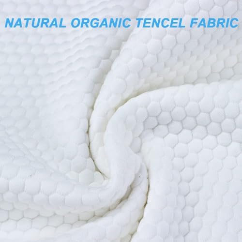 Talatex Dunlop 100% Natural Latex Pillow, Medium Low Pofile Latex Firm Pillow Helps Relieve Pressure, Neck and Shoulder Pain (Extra Firm, Standard(60x40x12) cm) — view 5