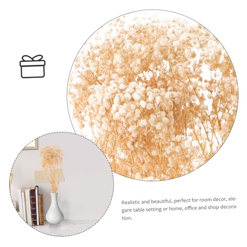 Bouquet de flores secas Babysbreath blanco natural para decoración miniatura 4