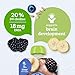 Gerber Stage 2 Baby Food, Organic Banana Blueberry Blackberry Oatmeal, Baby Food Pouches, Puree Pouches, Choline & DHA Helps Support Brain Development, No Artificial Flavors or Colors