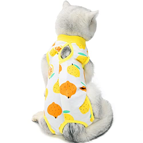 Katzen-Body Nach OP - Erholungsanzug Für Kastration & Operationen, Größe M