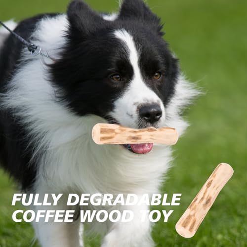 Rbleote 4 Stück Kaffeeholz für Hunde,Kaffeeholz für Welpen für Welpen für Kleine und Mittlere Hunde,Natürlicher Kauen-Spaß,Kauspielzeug,14 cm Lang