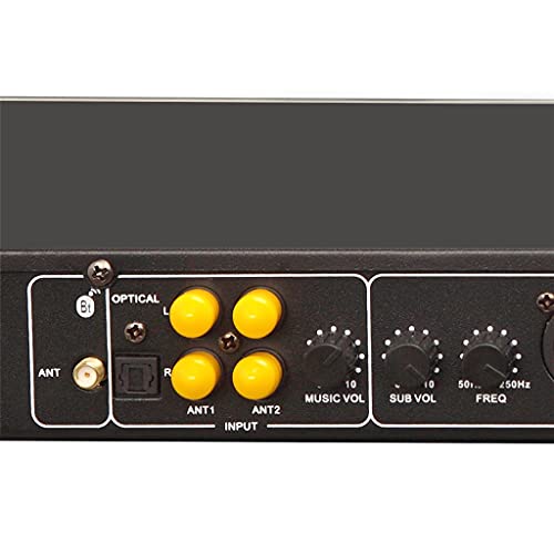 PFDTS Professioneel KTV Vóór Reverb-processors met Bluetooth USB Ooptische vezel ingang audio-ontvanger om weerstand te bieden aan de NOI - Image 6