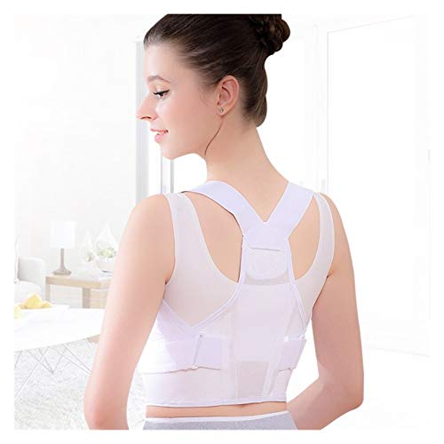 ߉\ȍpxg Lwh~Xgbv pT|[g Ƀu[Xxg jpAzCg-XL