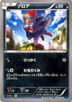 ポケモンカード ゾロア 進化ライン 各10枚 20枚セット まとめ売り ポケモンカード ゾロア 進化ライン 各10枚 20枚セット まとめ