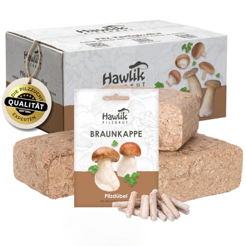 Hawlik Pilzbrut - das Original - Braunkappen Waldgarten Pilzzucht Kultur zum selber züchten im eigenen Garten - kinderleicht frische Pilze ernten - Pilze züchten Set