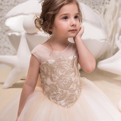 Tulle Flower Girl Dress for Wedding Lace Applique Princess Pageant Ball Gown Kids Formal Ball Gown4