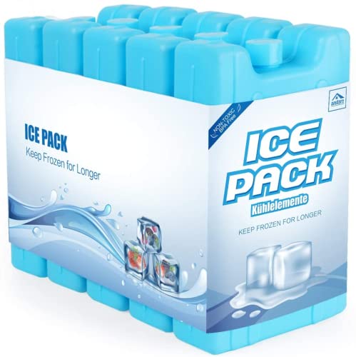 Homewit 5 blocchi refrigeranti refrigeranti per panini di ghiaccio, riutilizzabili, 400 ml, per borsa isotermica o frigo da lavoro, picnic, campeggio Homewit 5 blocchi refrigeranti refrigeranti per panini di ghiaccio, riutilizzabili, 400 ml, per borsa isotermica o frigo da lavoro, picnic, campeggio