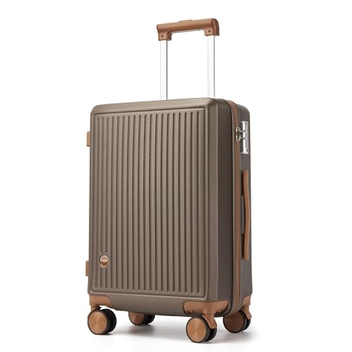 Hulsin 20-Inch Spinner Carry-On Hard Shell Luggage
