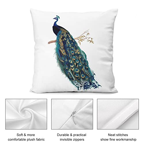Akame Vintage Peacock Art Throw Pillow Cover Cozy Square Throw Pillowcases Home Decor For Bed Couch Sofa Living Room Cushion Cover 18Inx18In, One Size #TOP3