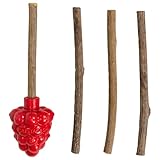 Catstages Dental Raspberry Teether with 4 Silvervine Sticks Included, Cat and Kitten Teething Toy, Red