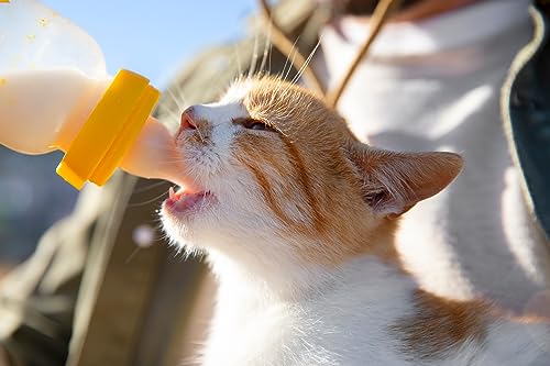 Foozia Ziegenmilchpulver Reine Ziegenmilch Getrocknet Ohne Zusätze Für Mensch, Katzen & Hunde 225g