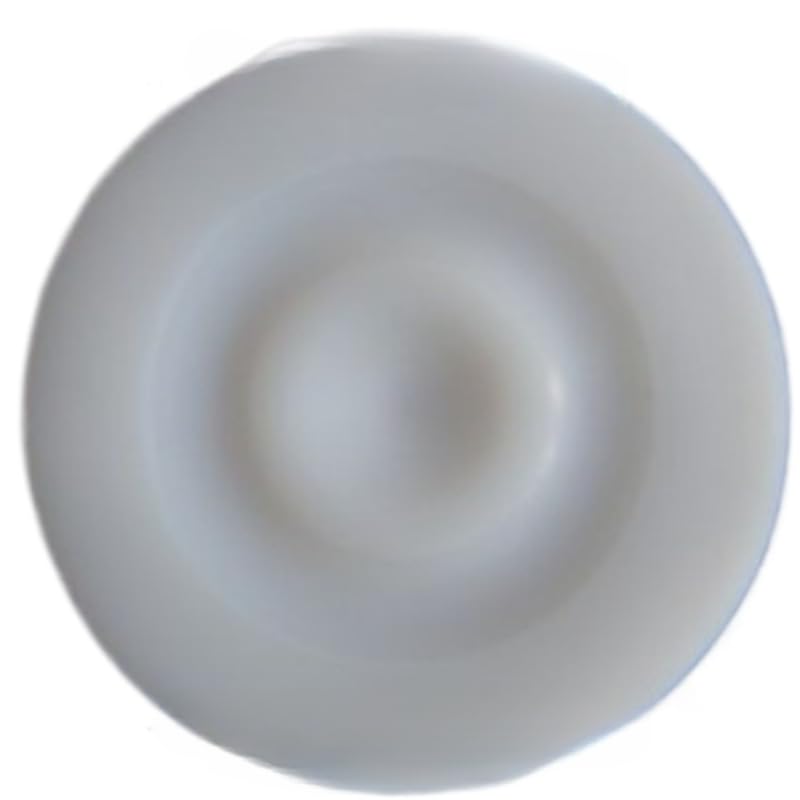 Diaphragm MBH101 PTFE diaphragm for metering pumps