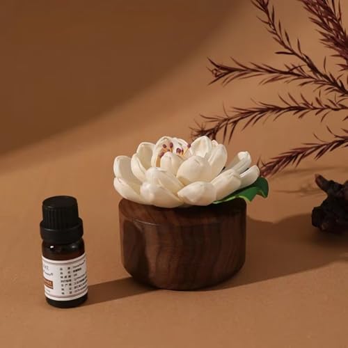 Diffuseur de fleurs passif d'huile essentielle pour décoration de bureau zen