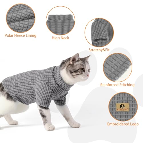 #1 Best 1 - Premium Pet Apparel Set - Image 4