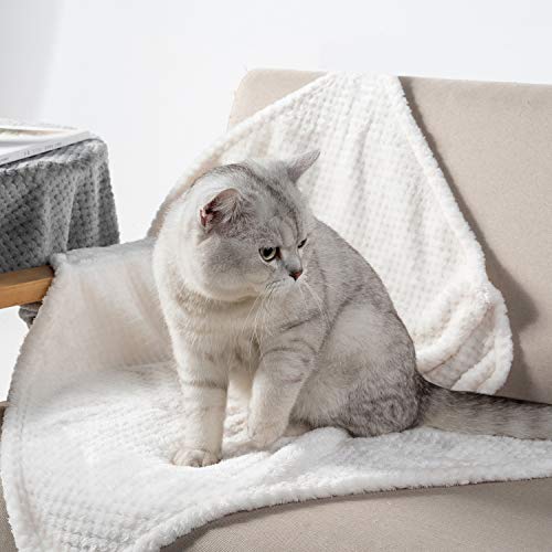 Image of Dog or Cat Blanket, Warm Polyester Microfiber Fleece Throw for Puppy, Kitten, Small, Medium, Large Dogs or Cats, Ivory, S /24 inch x 32 inch