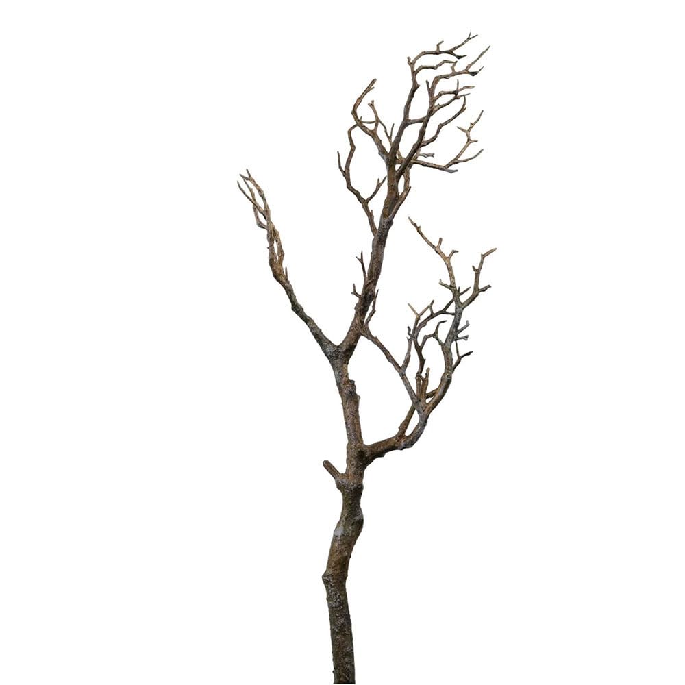 FloristryWarehouse Wildwood Artificial Tree Branch 70cm Natural Brown