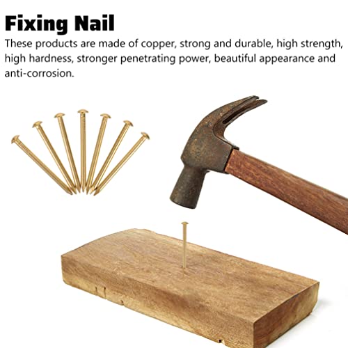 Head Copper Nails 2030pcs para fabricación de muebles y manualidades pequeñas miniatura 7